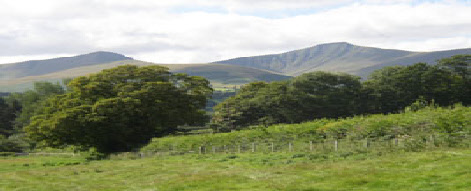 wp5823d8ad_0f.jpg